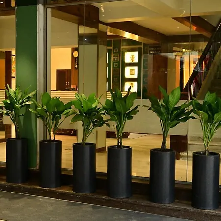 The Eden-2